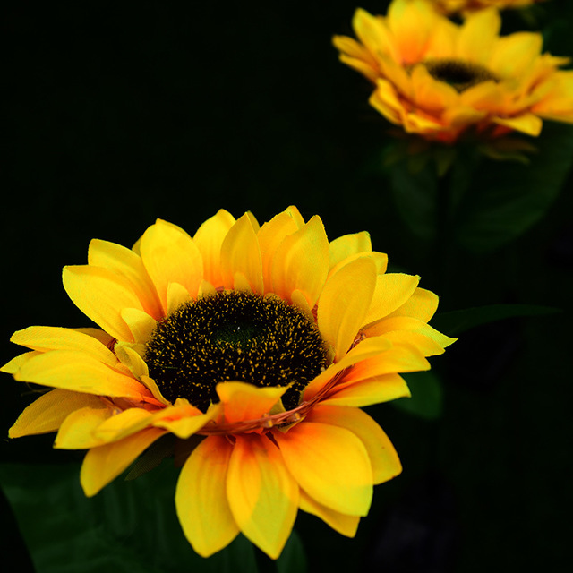LED Solar Sunflower Lamps LED Solar Sunflower Lamps 